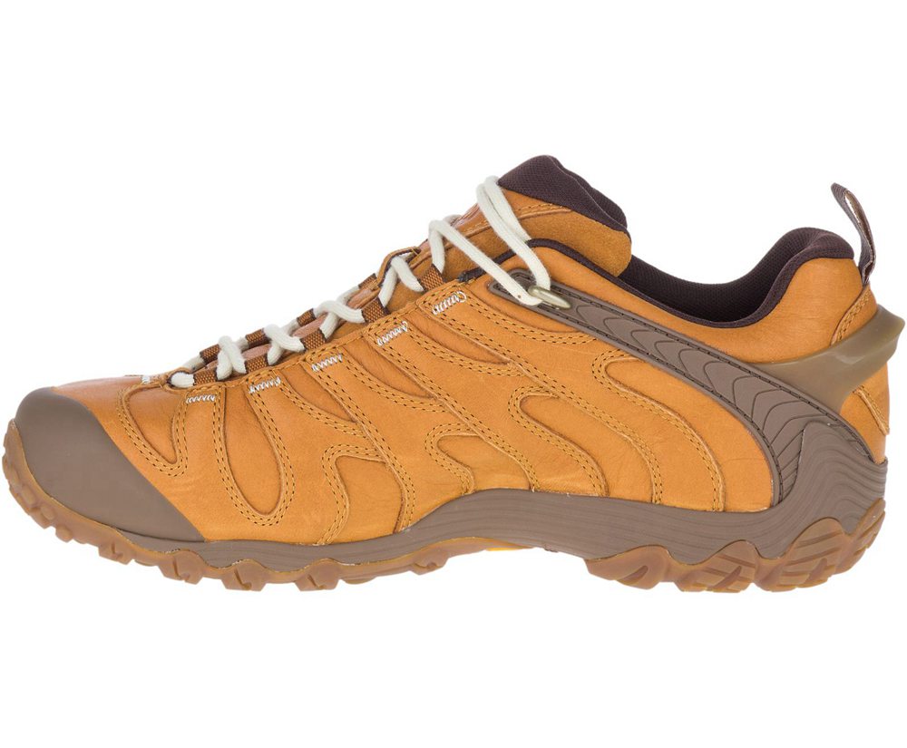 Buty Sportowe Merrell Męskie Brązowe - Cham 7 Slam Luna Skórzane - 249765-CTZ